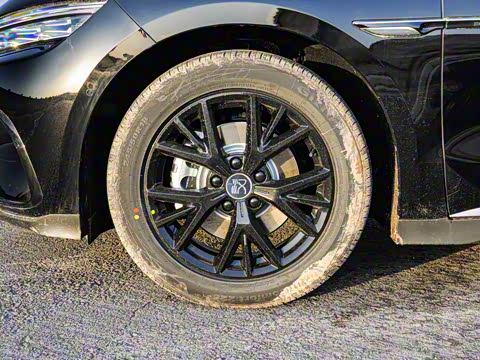 2025�� DM-i �Ǽݰ� 125KM��Ӣ��