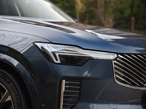 2025�� �Ŀ� T8 ��������� 7��