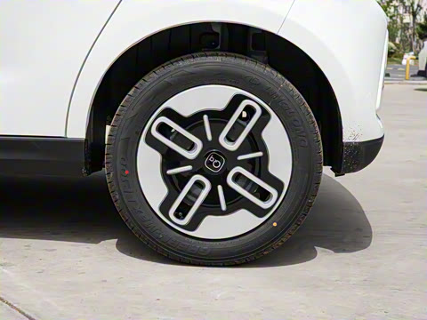 2025�� 305km ������