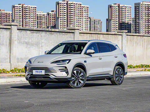 2025�� DM-i �Ǽݰ� 112KM ������