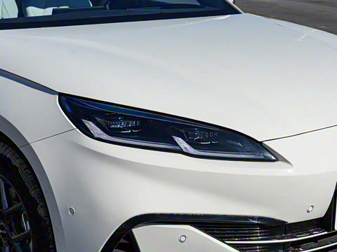 2025�� DM-i �Ǽݰ� 80KM������