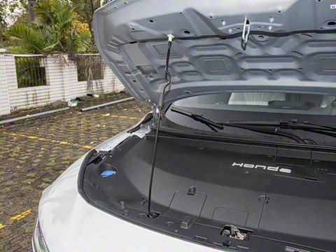 2025�� ����������Max