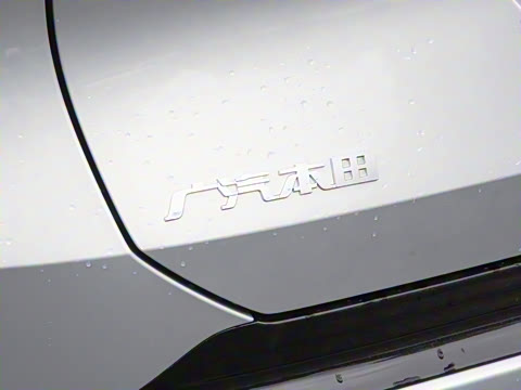 2025�� ����������Max