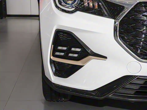 2025�� 1.5T �ֶ���Խ�� 7��