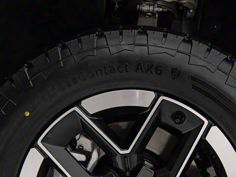 2024�� ����������