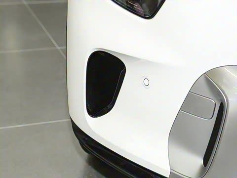 2024�� ������������ ������