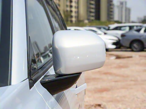 2025�� ���������� 650 ������