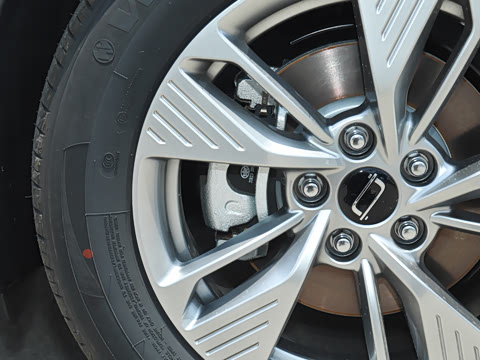 2025�� 445km ��ѡ��