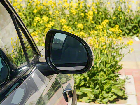 2025�� 520KM�Ǻ���