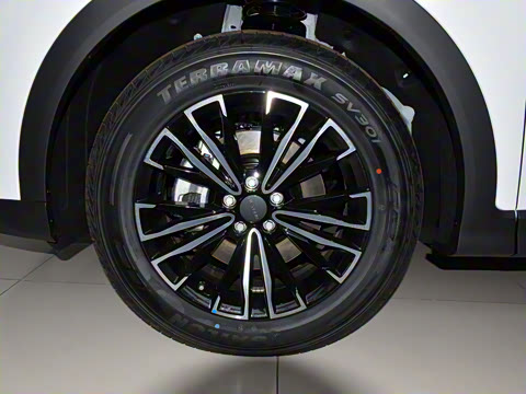 2025�� �ھ��� 1.5T �ֶ��ھ� 5��