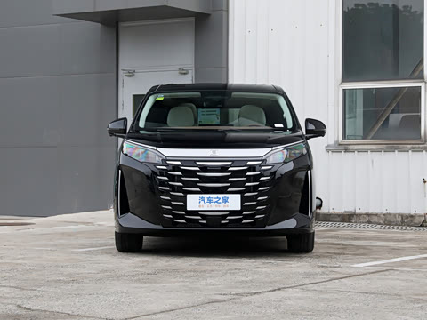 2025�� DM-i 1.5T 100km ��Խ��