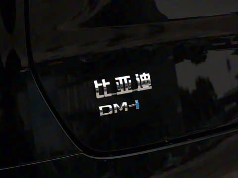 2025�� DM-i 1.5T 100km ��Խ��