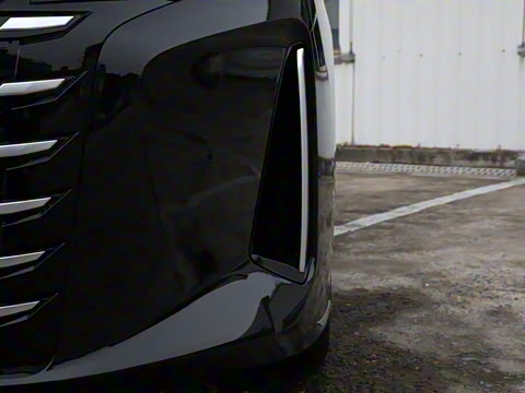 2025�� DM-i 1.5T 100km ��Խ��