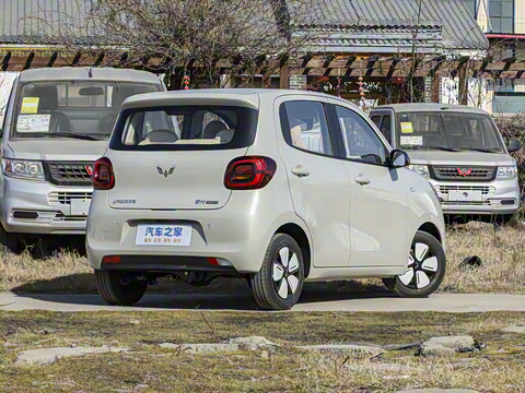 2025�� ���Ű� ���׿�