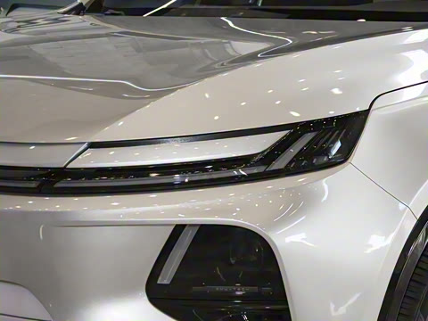 2025�� ������