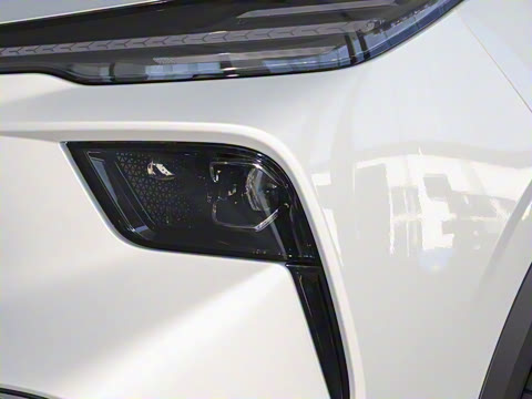 2025�� 565km ������