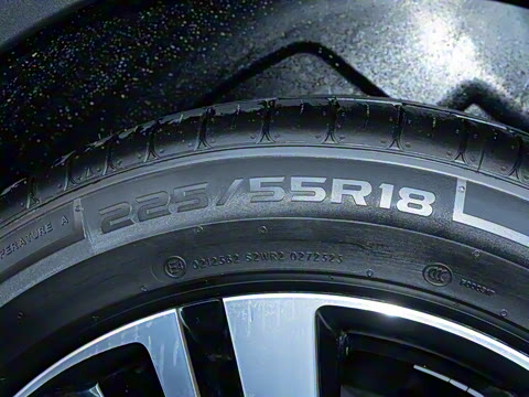 2025�� ������