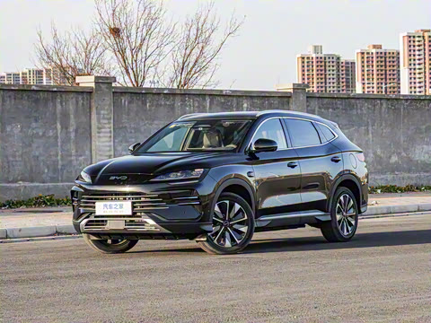 2025�� DM-i �Ǽݰ� 112KM ������