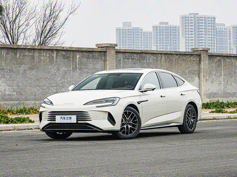 2025�� �Ǽݰ� DM-i 1.5L 125km ������