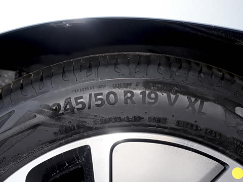 2025�� ���� Max ����������ʻ