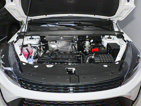 2025�� 1.5L �ֶ�������