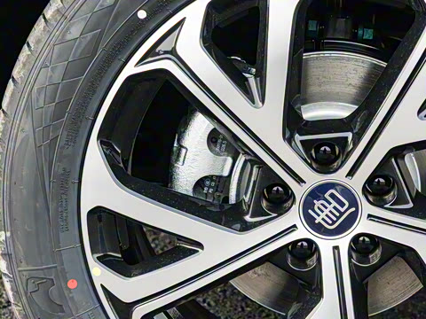 2025�� �Ǽݰ� DM-i 115KM �콢��