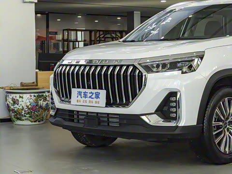 2025�� ��Խ�� 1.6TD DCT����PRO 5��