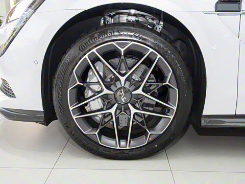 2025�� EV ����������