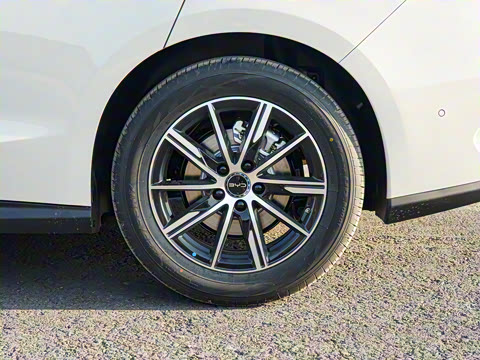 2025�� DM-i �Ǽݰ� 120KM������