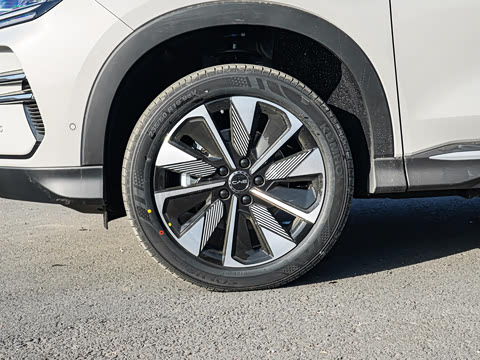 2025�� DM-i �Ǽݰ� 112KM �����