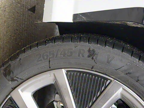 2025�� ����������Max