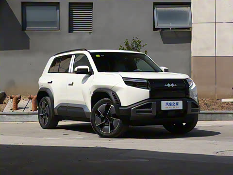 2025�� 501KM ����Max��