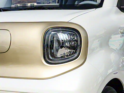 2025�� 222km ������