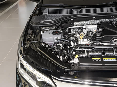 2025�� �Ŀ�� 300TSI DSG׿Խ��