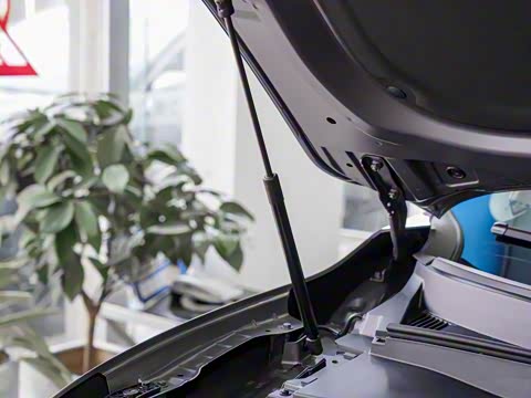 2025�� 1.5T ��ԭ�� 5��