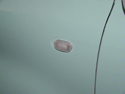 2025�� 222km ������