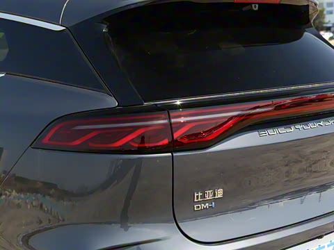 2025�� �Ǽݰ� DM-i 115KM �콢��