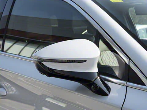 2025�� �Ǽݰ� DM-i 115KM �콢��