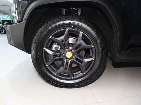 2025�� 2.0TD DCT XWD��Խ+