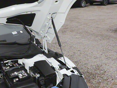 2025�� 330TSI ��Ŀ ������