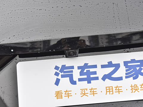 2025�� ��������� 515�����