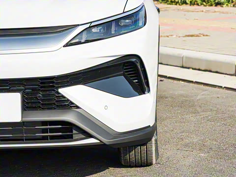 2025�� �ڶ��� �Ǽݰ� DM-i 115KM��Խ��