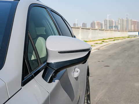 2025�� �Ǽݰ� DM-i 115KM ������