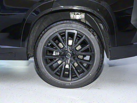 2025�� 205km Max��