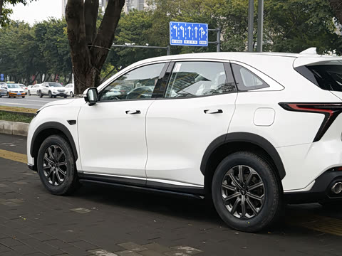 2025�� 1.5T ɽ�������� 7��