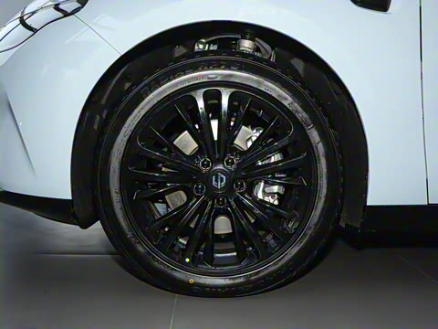 2024�� ���� 525������