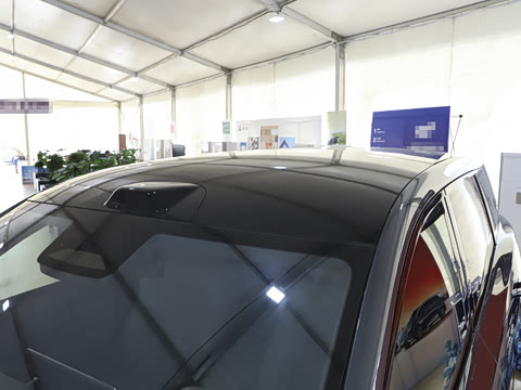 2025�� ������