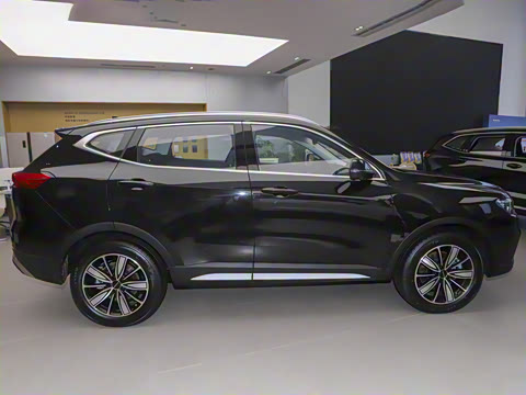 2023�� ������ 1.5T �Զ��ھ���