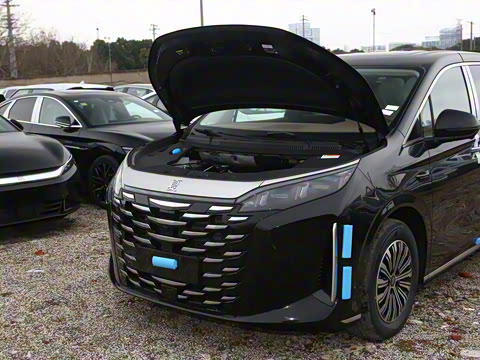 2025�� DM-i 1.5T 100km ������