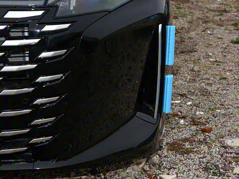 2025�� DM-i 1.5T 100km ������